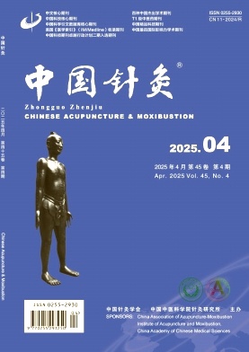 中國針灸封面