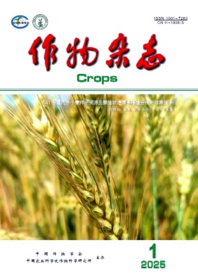 作物雜志封面