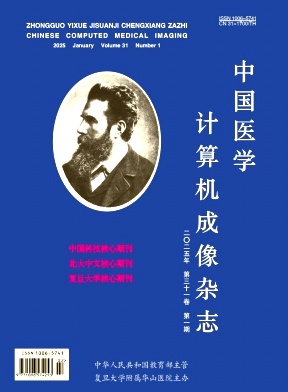 中國醫學計算機成像雜志