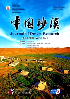 中國沙漠