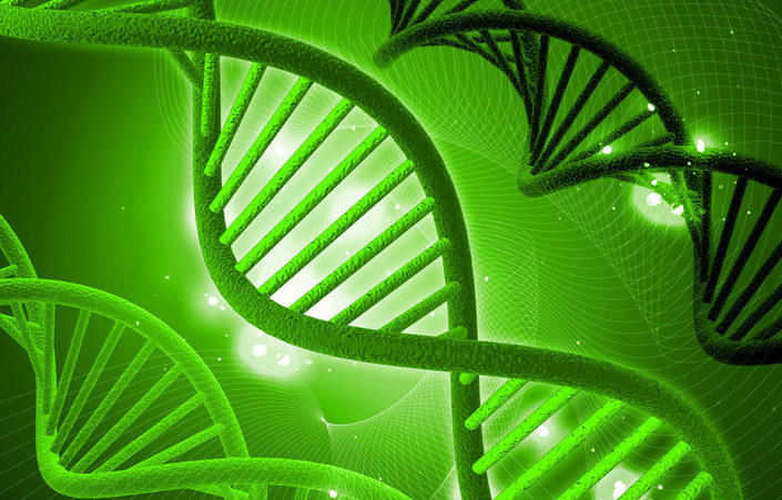 生物教學論文發表
