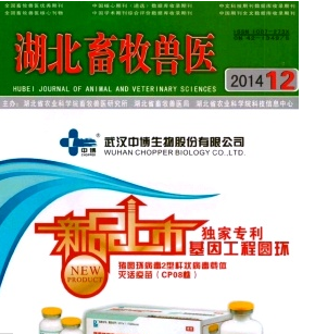 湖北省2016年畜牧獸醫(yī)職稱(chēng)考試評(píng)審條件有哪些