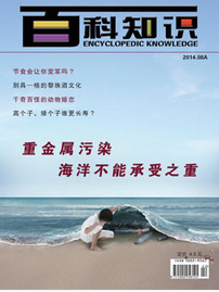 百科知識