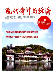 電子數(shù)據(jù)審計新科技應(yīng)用方針