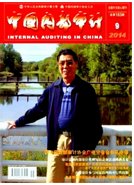 中國內部審計