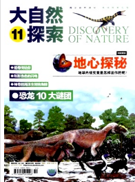 大自然探索論文期刊推薦