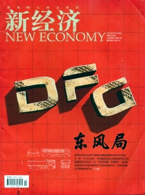 新經(jīng)濟