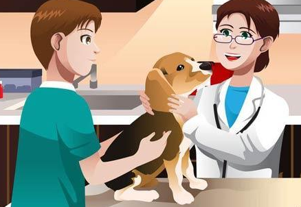 正確認識動物防疫體系的創(chuàng)新應用技巧