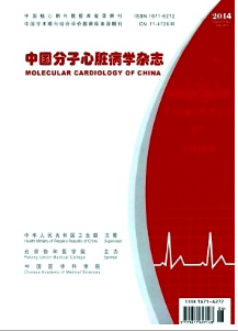 中國分子心臟病學(xué)雜志投稿