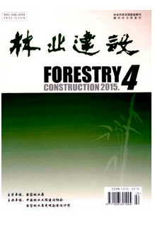 防護林建設應用新技巧