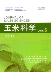 玉米科學(xué)