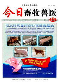 今日畜牧獸醫論文刊發參考