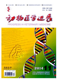 動(dòng)物醫(yī)學(xué)進(jìn)展論文發(fā)表格式