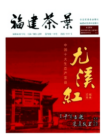 福建茶葉征稿