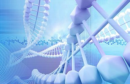 談當前農(nóng)業(yè)生物科技的新應用措施制度