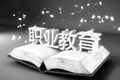 探討職業教學管理的新方案應用作用