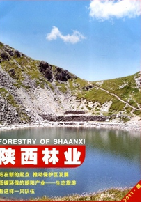 紅花檵木葉片生長(zhǎng)過(guò)程