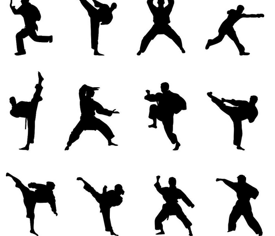 探究當前高校武術教學管理應用新技巧