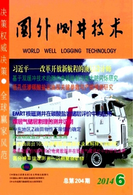國(guó)外測(cè)井技術(shù)