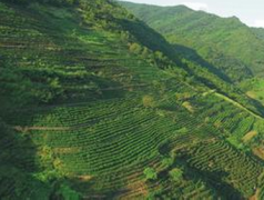 山河治理中的新發(fā)展技巧及模式