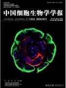 中國(guó)細(xì)胞生物學(xué)學(xué)報(bào)