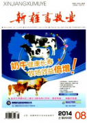 新疆畜牧業