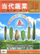 當代蔬菜