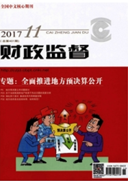 財(cái)政監(jiān)督