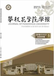攀枝花學院學報：綜合版