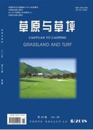 草原與草坪
