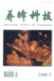 養(yǎng)蜂科技