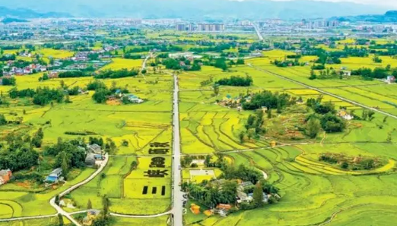 成渝現(xiàn)代高效特色農(nóng)業(yè)帶建設(shè)的成都路徑研究