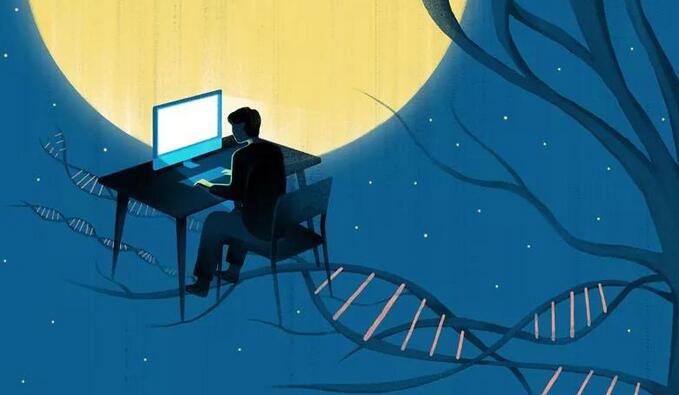 Nature確認熬夜會損傷大腦，睡眠可幫助大腦“重置”