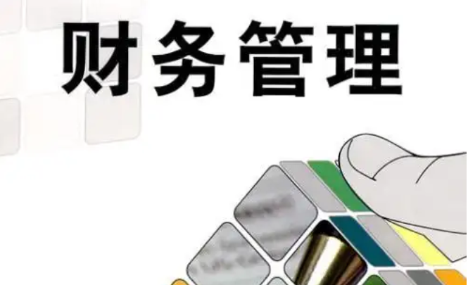 財(cái)務(wù)風(fēng)險(xiǎn)管理論文