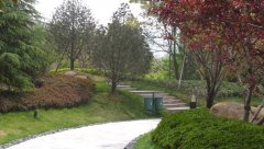 園林設(shè)計在現(xiàn)代景觀中的應(yīng)用