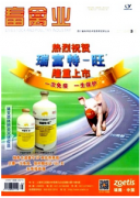 畜禽養(yǎng)殖科學處理排泄物污染
