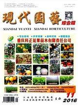 現(xiàn)代園藝