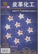 皮革化工