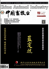 中國畜牧業(yè)