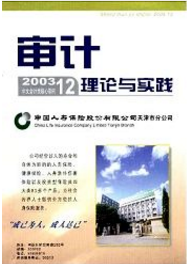 審計(jì)理論與實(shí)踐