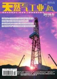 燃氣工程師論文