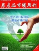 電商沖擊下批發市場的發展研究