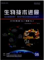 生物工程師論文