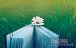 社區(qū)管理參考文獻(xiàn)