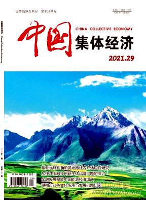中國集體經(jīng)濟
